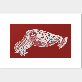 Cuttlefish - hand drawn marine life design Posters and Art